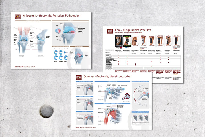 BORT Gelenk-Charts medizinische Illustrationen